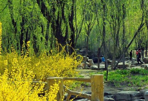 清明踏青回來啦，要訂礦用鉆機的盡管來吧